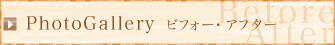 PhotoGalleryビフォーアフター